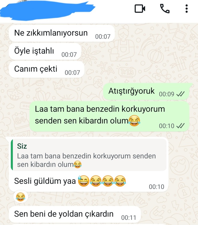 Kör ile yatan şaşı mı kalkar yoksa üzüm üzüme baka baka kararıyor muydu😂?