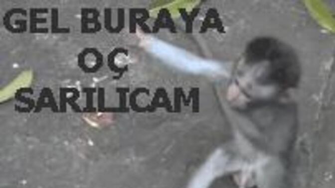 Of ya uykum nereye kaçtı acaba?