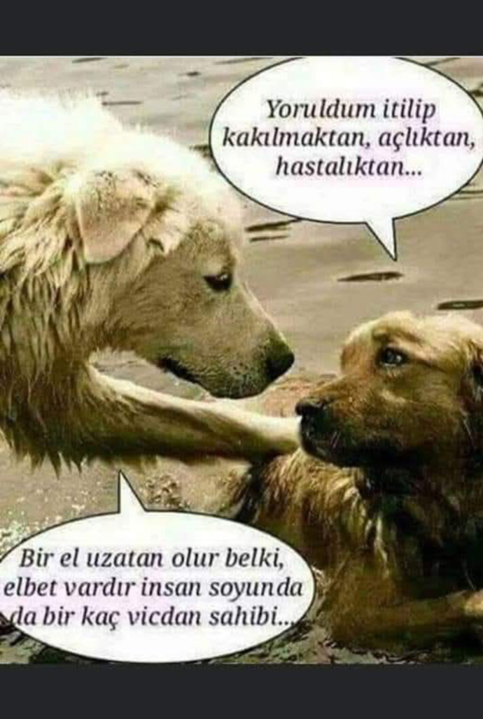 İnsanlar neden bu kadar duyarsız?