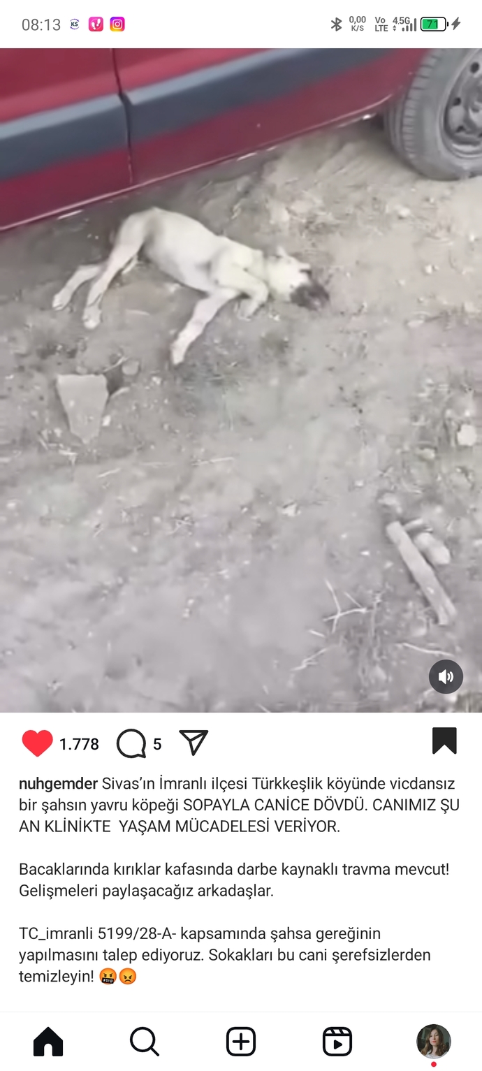 İnsanlar neden bu kadar duyarsız?