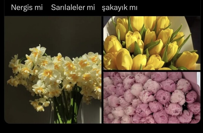 Çölde susuz kalmış birine suyun markası sorulur mu?