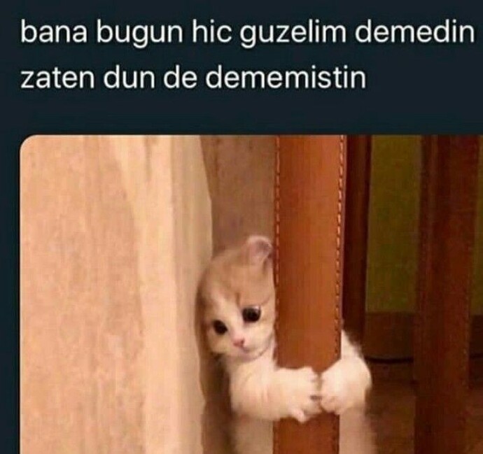 Dün de dememiş pislik şey