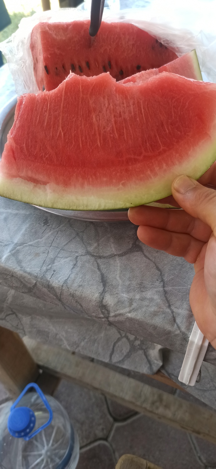 Karpuzu dilim mi yersin küçük küçük doğrayarak mı?