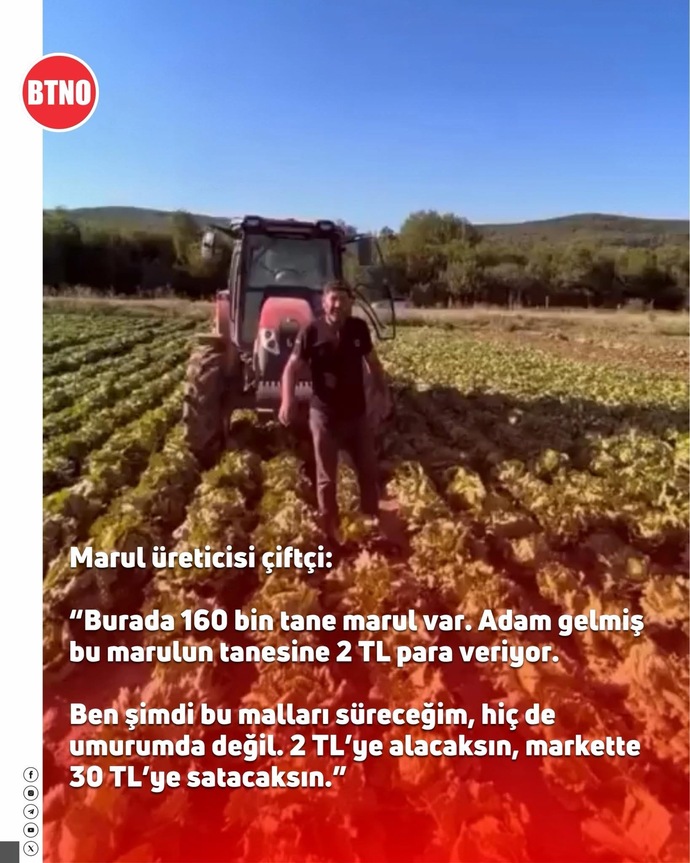 Marul 🥬 üretimi yapan çiftciler isyanda sence kim haklı?