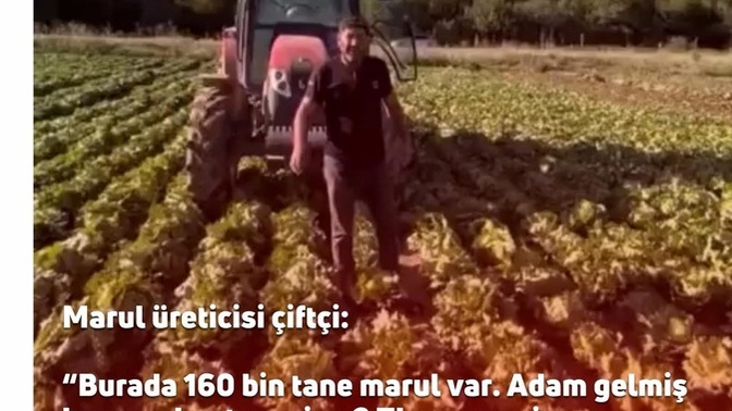 Marul 🥬 üretimi yapan çiftciler isyanda sence kim haklı?