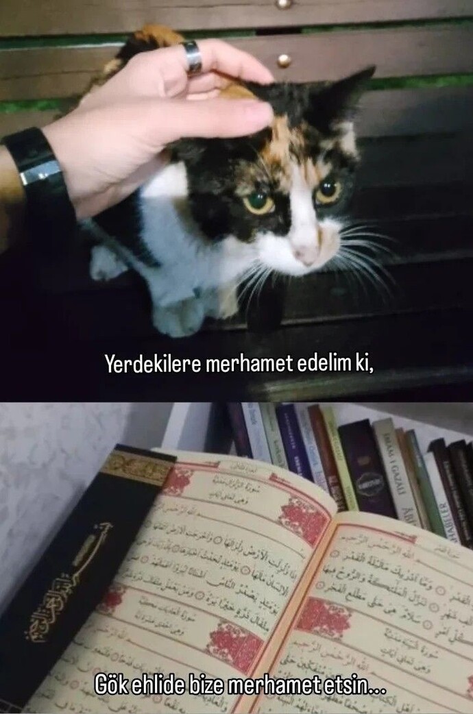 Merhametli insanlar mıyız?