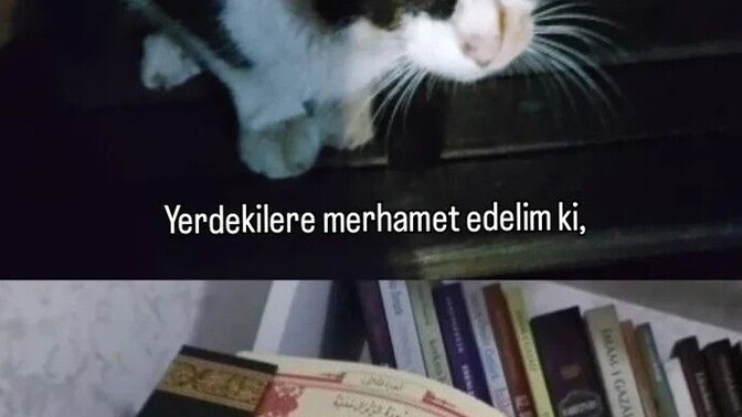 Merhametli insanlar mıyız?