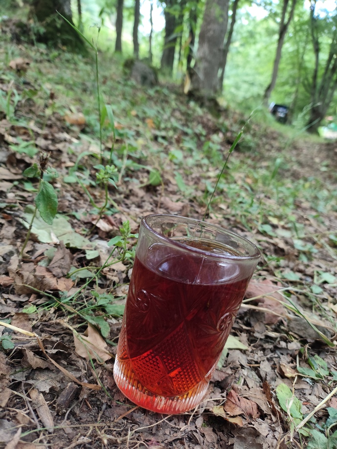 Doğada içilen çayın tadı bir başka mıdır? semaver kokulu buram buram koyu siyah çay, isteyen bardağını kapsınnnn?