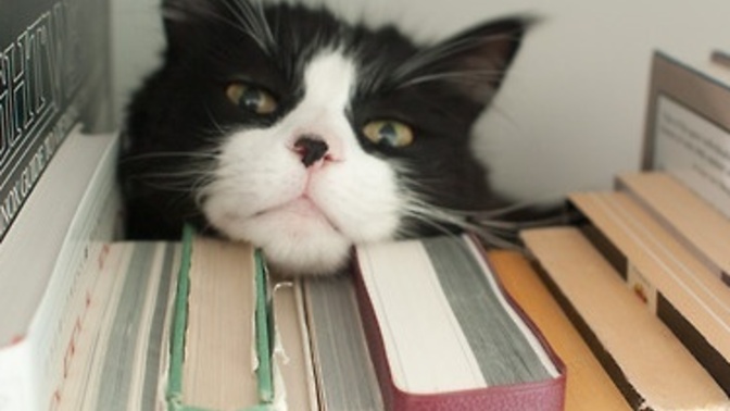 'Bana okumayı sevdirdi' dediğiniz kitap hangisi?