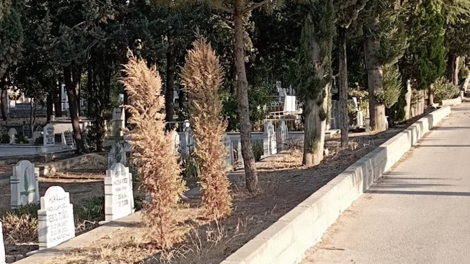Mezarlıktan geçmekten korkar mısınız?