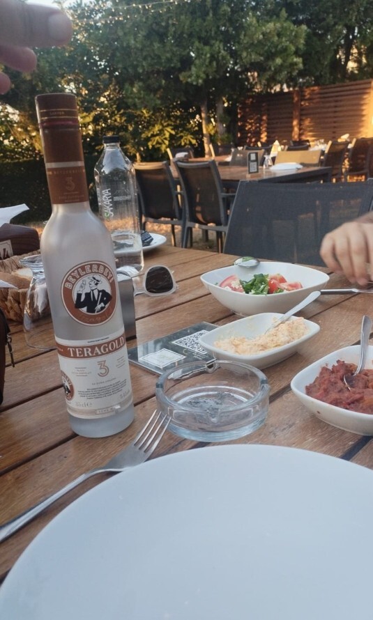 Türküleri severmisiniz? varsa gönderdin geceye gelsin mi?