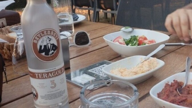 Türküleri severmisiniz? varsa gönderdin geceye gelsin mi?