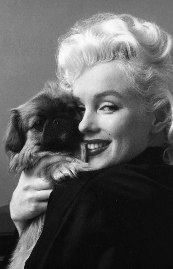 Evlat o Monroe’cim