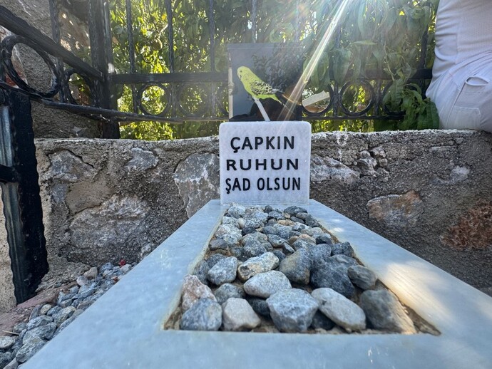 Son dinlediğiniz şarkıyı dinlerken ölseydiniz, o hangi şarkı olurdu?