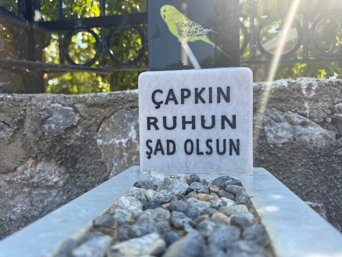 Son dinlediğiniz şarkıyı dinlerken ölseydiniz, o hangi şarkı olurdu?