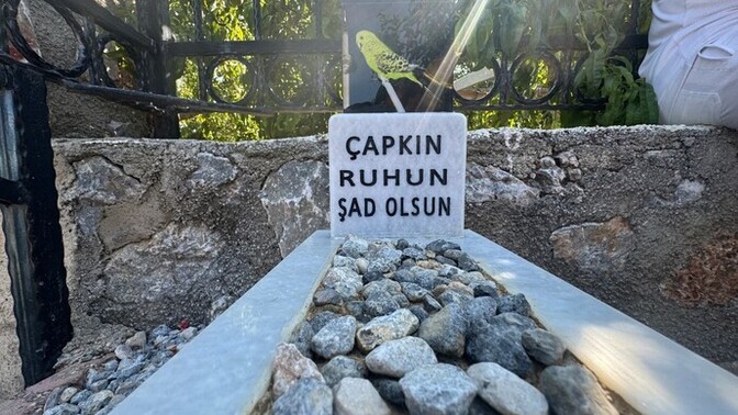 Son dinlediğiniz şarkıyı dinlerken ölseydiniz, o hangi şarkı olurdu?
