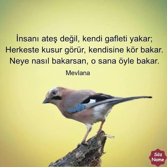 Tüm aile ile küs olan birinin sorun kendisinde midir yoksa Ailesinde midir?