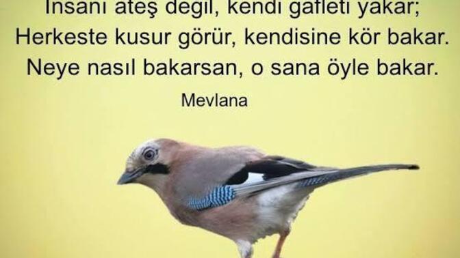 Tüm aile ile küs olan birinin sorun kendisinde midir yoksa Ailesinde midir?