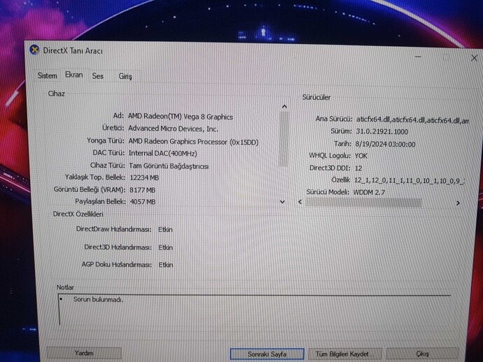 Ryzen 3 2200g apu işlemci nasıl oluyorda 8 gb harici olarak gözükebiliyor?