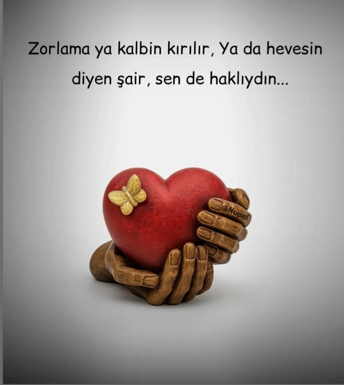 Herşeye rağmen inadına zorlamayı sever misiniz?
