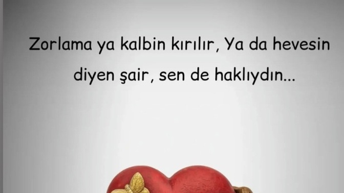 Herşeye rağmen inadına zorlamayı sever misiniz?