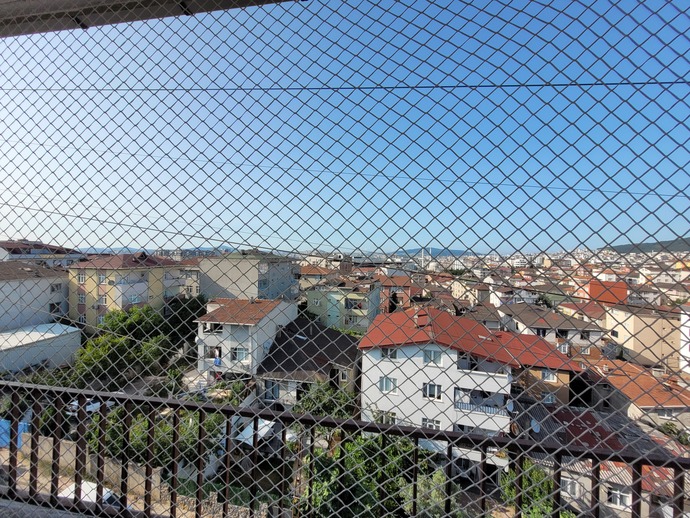 Kedisi olanlar evde camı balkonu açıyor musunuz?