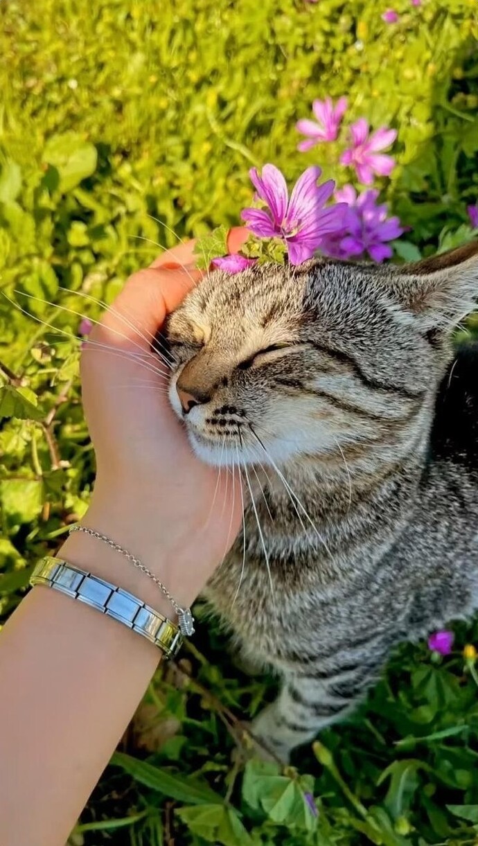 İnsanın karakteri değişebilir mi sence mümkün mü?