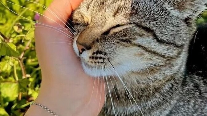 İnsanın karakteri değişebilir mi sence mümkün mü?