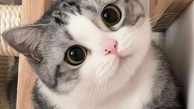 Dünyanın en güzel şeyi nedir sizce sizlere göre?