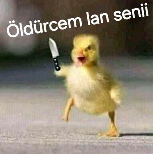 Fıstık içi sever misiniz?
