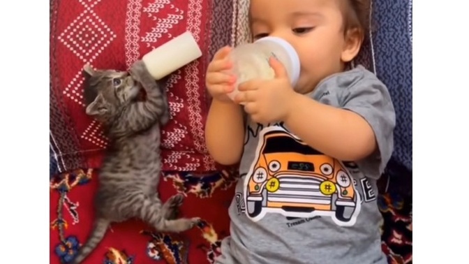 Benden çok iyi anne ya da baba olur diyebilir misiniz?