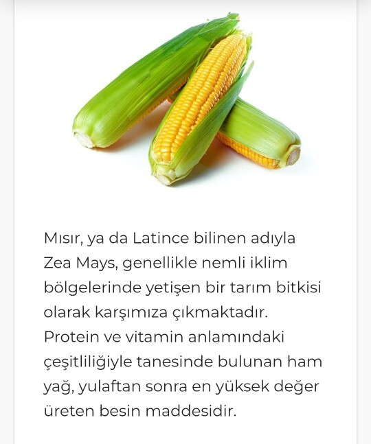 Her hali güzel olan bir yiyecek?