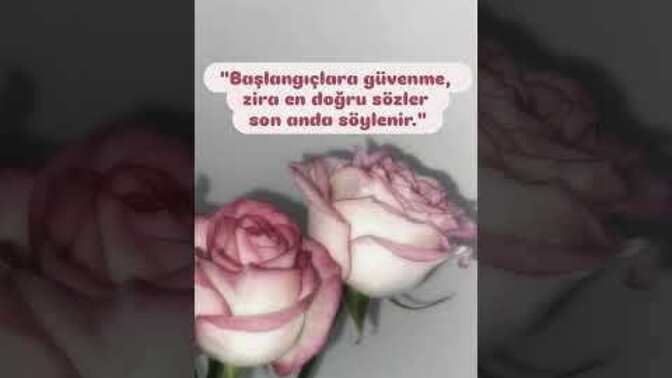 Geceye en sevdiğiniz sözü bırakır mısınız?