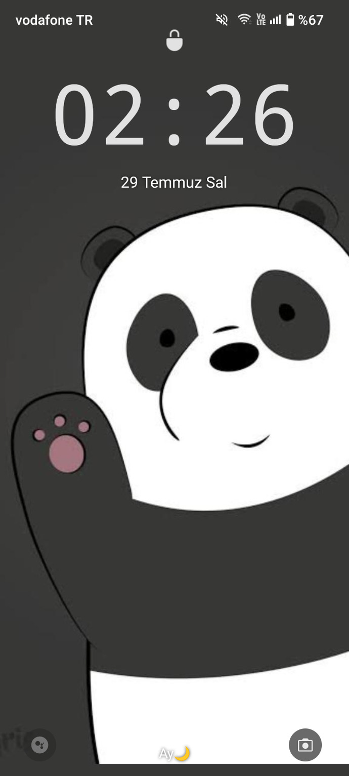 Bi panda