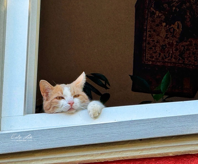 Doğru insana rastladınız mı, ?