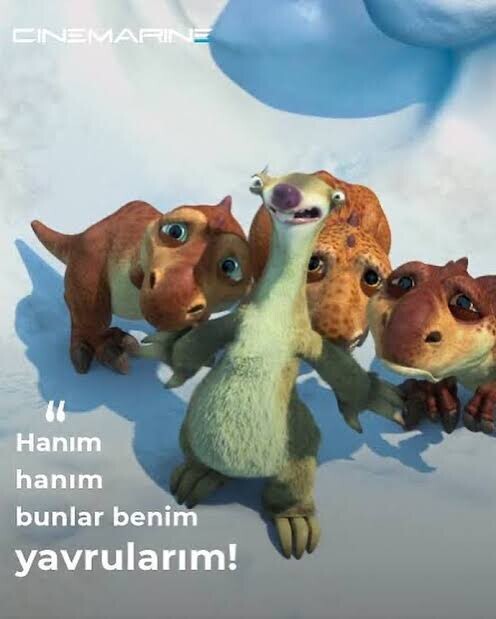 Bacılar, köpeğim nasıl 😂?