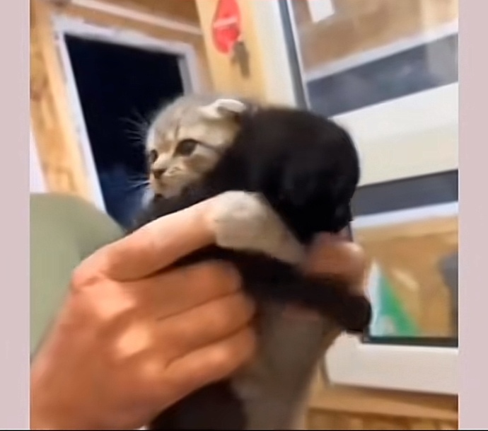 Şöyle sımsıkı sarılmak istediğiniz birisi var mı?