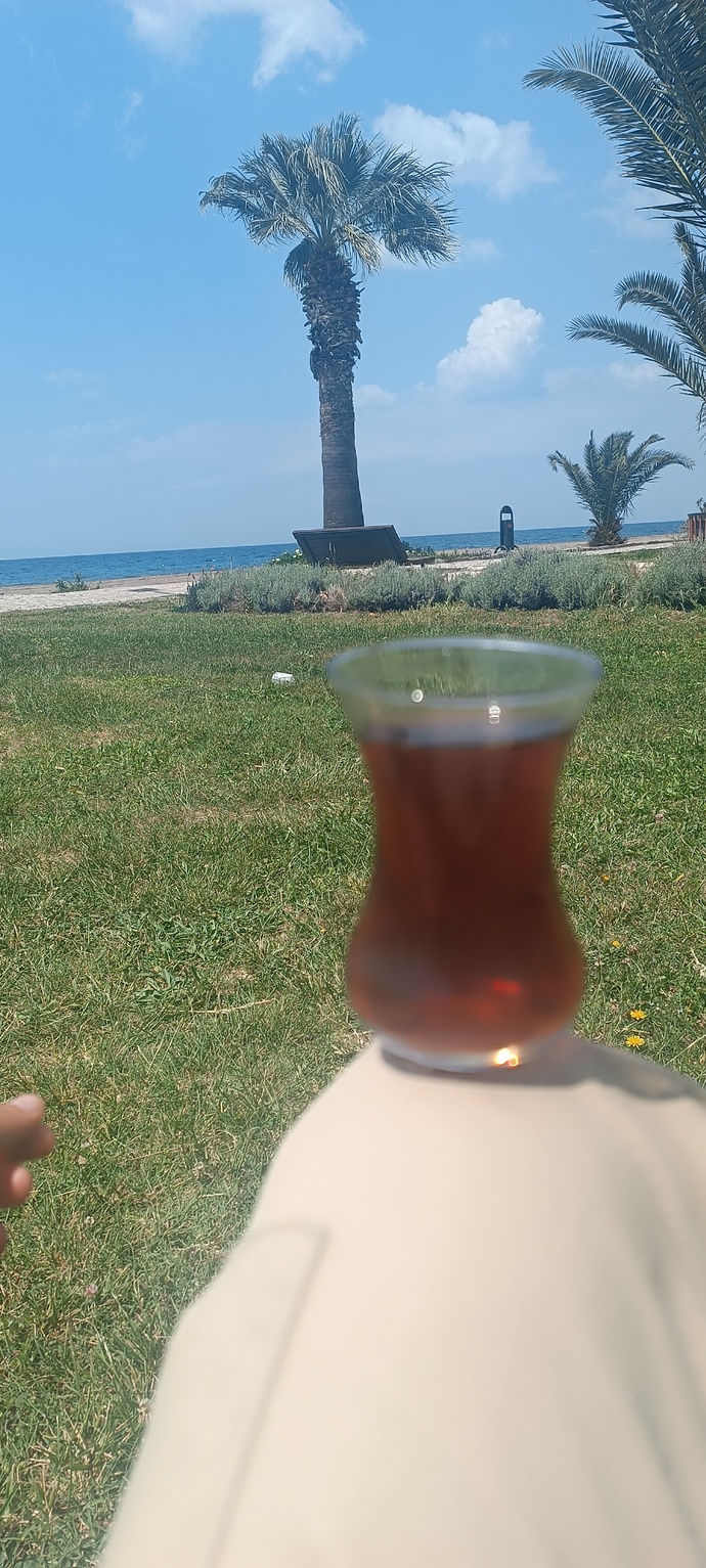 Hangi seçiminizden dolayı pişman değilsiniz?