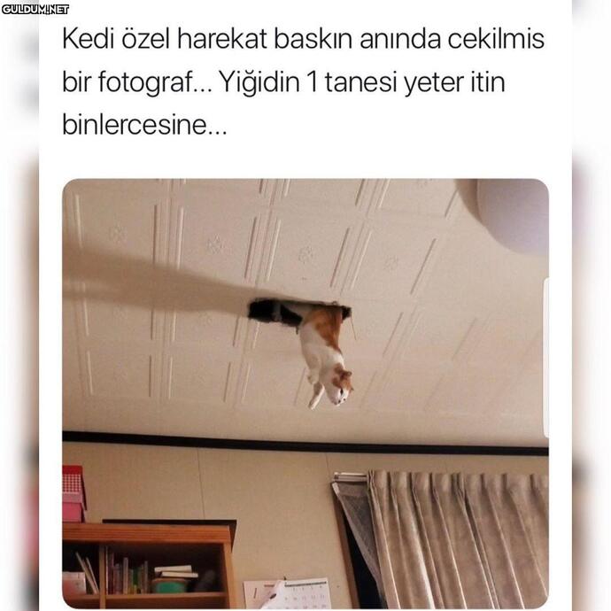 Bu evde yaşarmıydın, yaşarsan kiminle yaşardın 🏘️🛖?