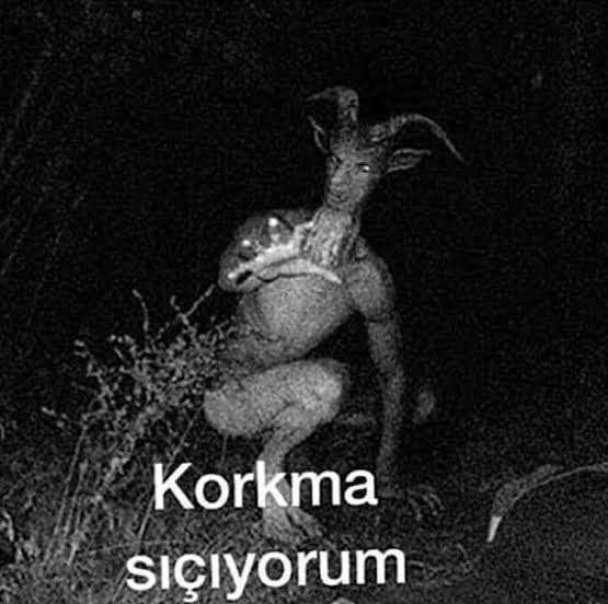 Akşam parti var kimler gelicek?