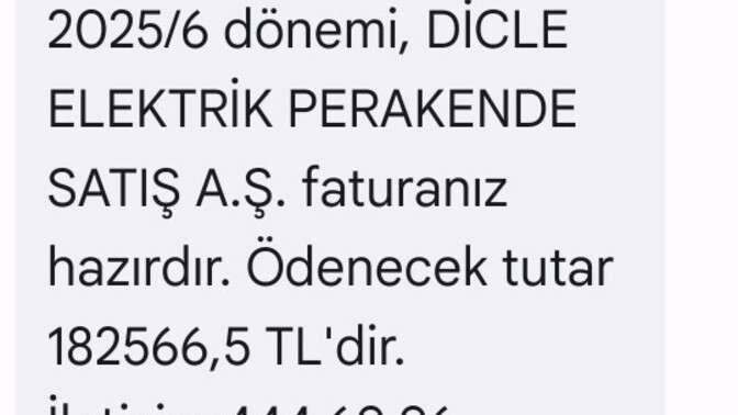 Sizce de insanları kaçak elektrik kutlamaya teşvik etmiyorlar mı?