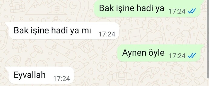 Sevgilim dışarı çıkmama izin vermiyor, böyle yazdım. İyi yapmış mıyım?