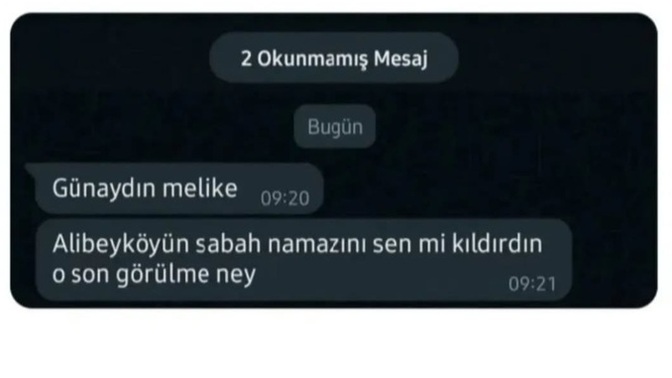 Sahiplenen erkek nasıl davranır?