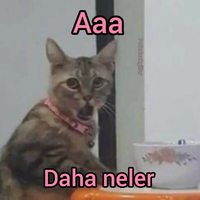 Sizce iyi kalpli olmak mı, zeki olmak mı daha önemli?