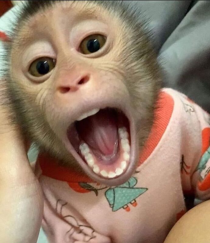 Sesinizin güzel ve çekici olduğunu düşünüyormusunuz 🔉🍒?