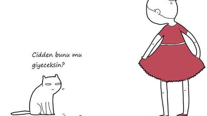 Kediniz bir gün konuşabilseydi , sizin hakkınızda ilk ne söylerdi size?