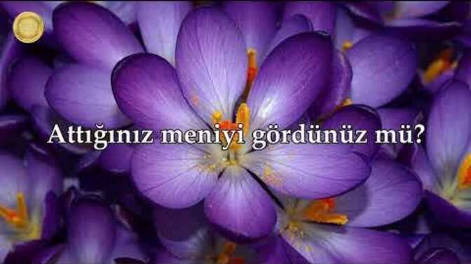 Bu iyilerin ve kötülerin savaşıdır ta ki o güne kadar sürecek sen hangi taraftasın?