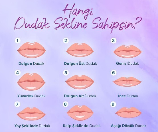 Dudak şeklin hangisi?