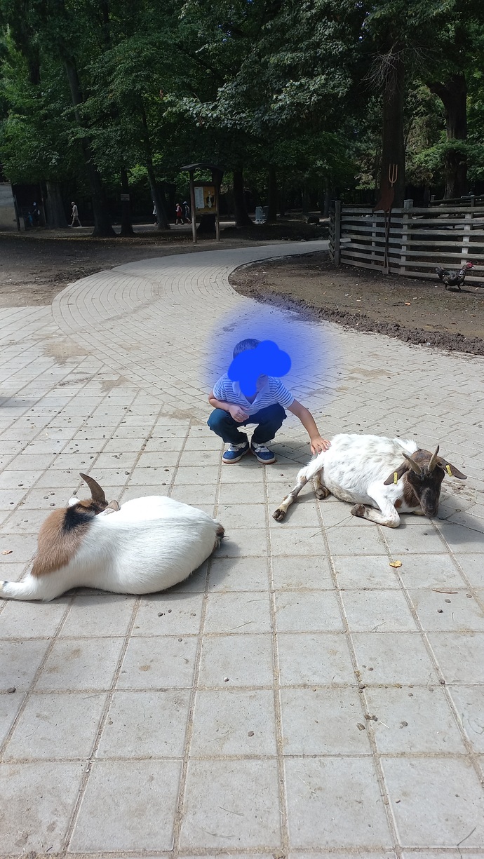 Arkadaşlar ne yapıyorsunuz?