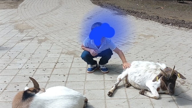 Arkadaşlar ne yapıyorsunuz?